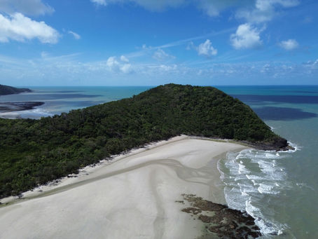 Uncover the Ultimate Adventure in Cape Tribulation: Where Rainforest Meets the Reef!