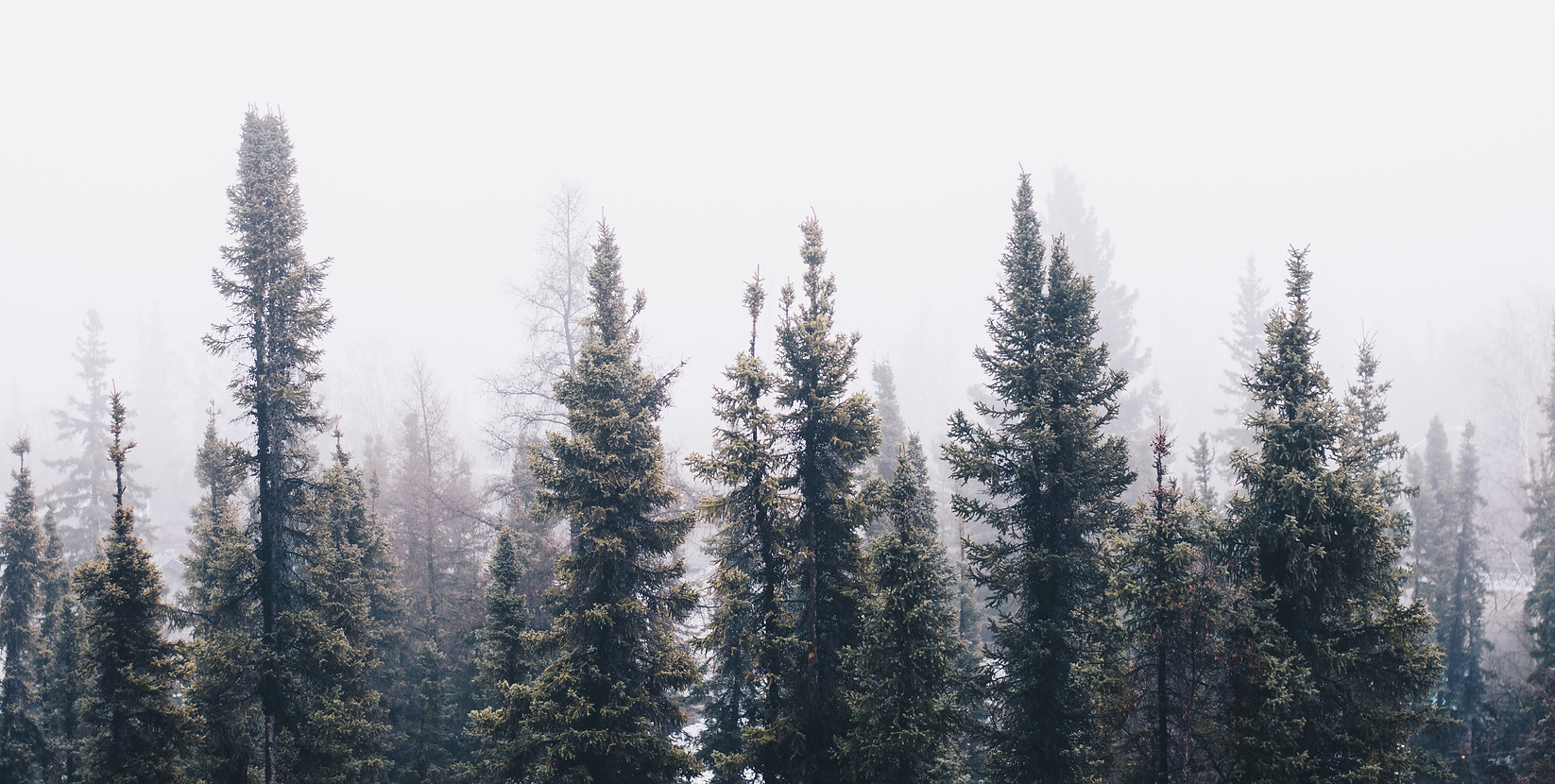 Image by Ian Keefe