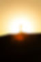 Image by Mohammadreza Charkhgard