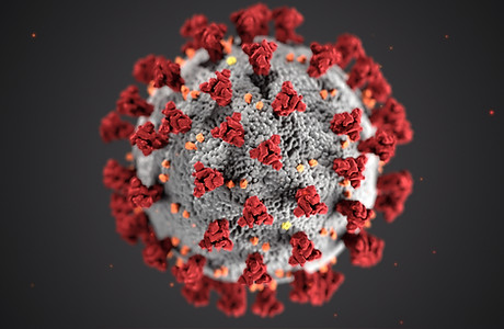 Image by CDC