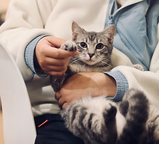 Image by Werzk Luuuuuuu