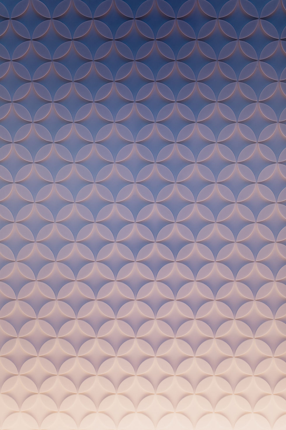 Rectangle 1
