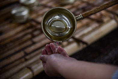 Image by Cici Hung