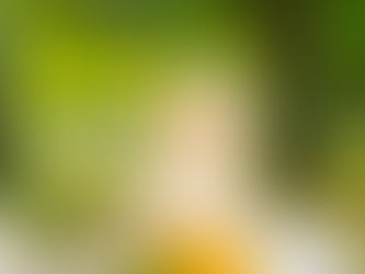 A baby smiling as bubbles floating in the air with a park in the background