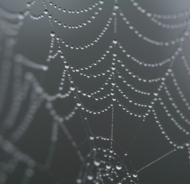 이미지 제공: Joshua Michaels