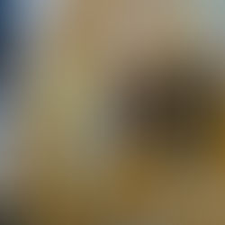 How to Enlist the Best SEO Service in Manchester