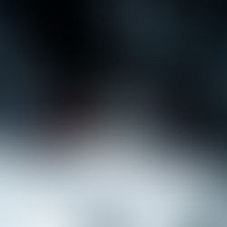 d'où vient le sport du MMA 