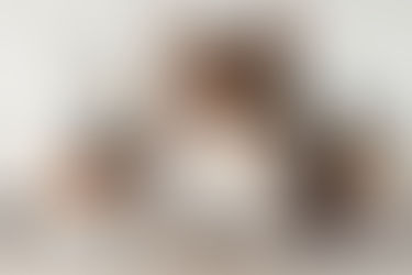 un chat se tenant sur un Macbook air 