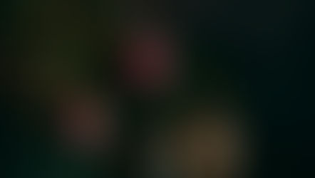 Apie Kalėdų ir Naujųjų metų laukimą