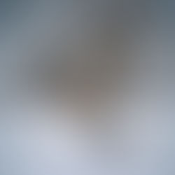 December’s two rhythms