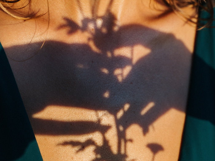 Shadow of a plant and a hand cast on a sunlit wall