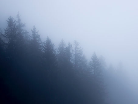 Alltags Gedanken - Im Nebel