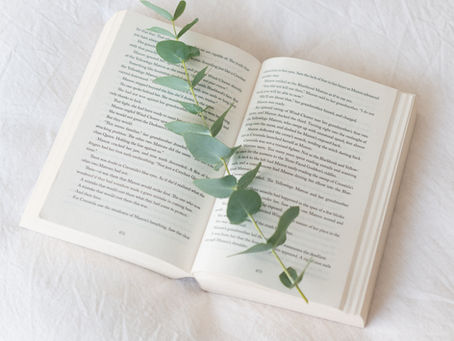 Book Publishers in Red Lodge, Montana