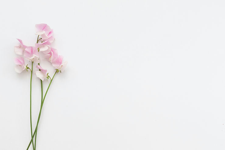 Image de Natalie Kinnear