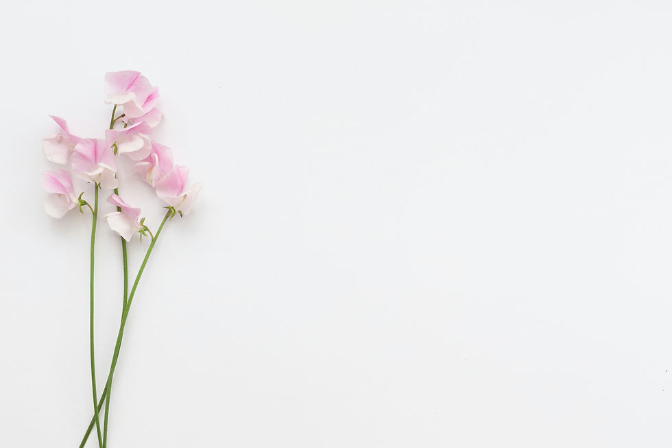 Image by Natalie Kinnear