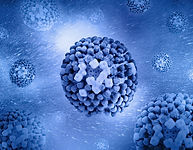 Image by National Institute of Allergy and Infectious Diseases