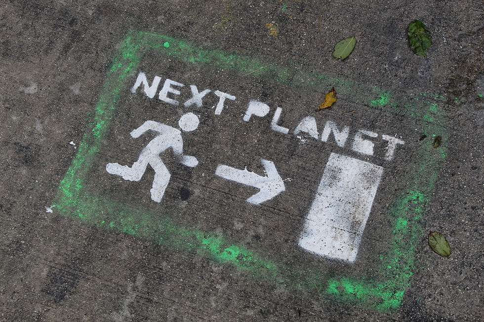 Image by Nicolás Olivares