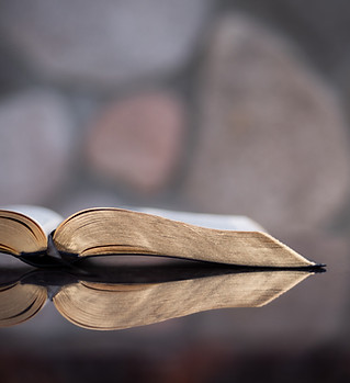 Image by Aaron Burden