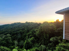 The Waiting Game: Property Rights in Roatan Island