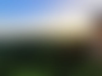 The Waiting Game: Property Rights in Roatan Island