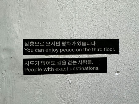 ScribeShadow and AI Translation: Short-Term Gains and Long-Term Brand Risks