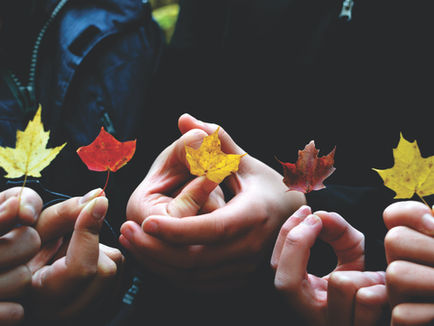 New naming rules aim to reflect community, culture, and growth in Kawartha Lakes 