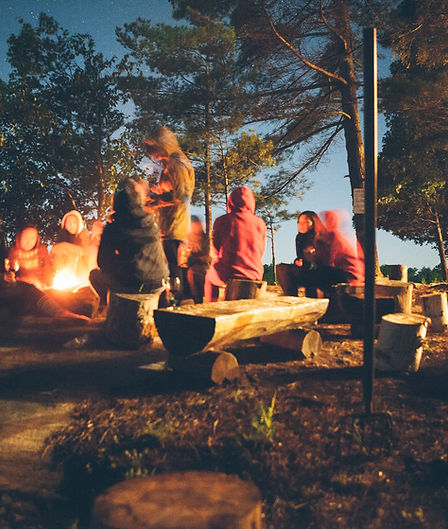 Image by Tegan Mierle