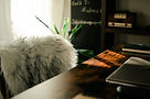 Image by Aesthetes ID