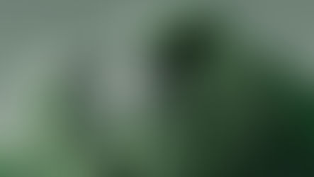 The internet's carbon footprint is massive, and Google is penalizing bloated websites. Discover how "Green Web Design" and sustainable coding practices not only reduce server emissions but drastically boost your SEO and conversion rates in 2026.