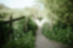 Image by Annie Spratt