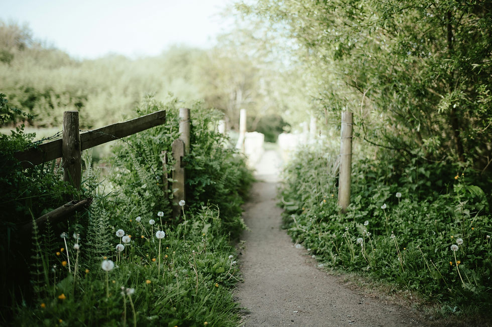 Image by Annie Spratt