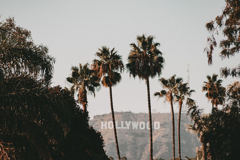 Image by Lisa Fllngr