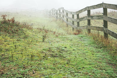 Image by Jan Canty