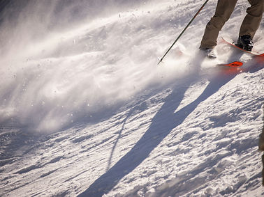 Image by Alex Moliski