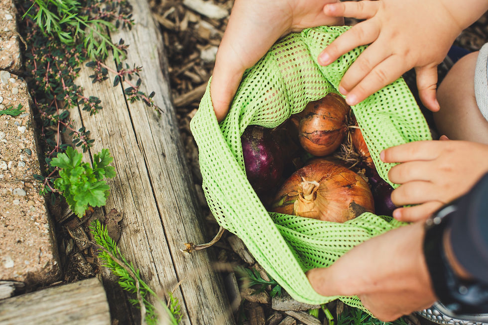 A green mesh bag filled with onions being held open by a man and child's