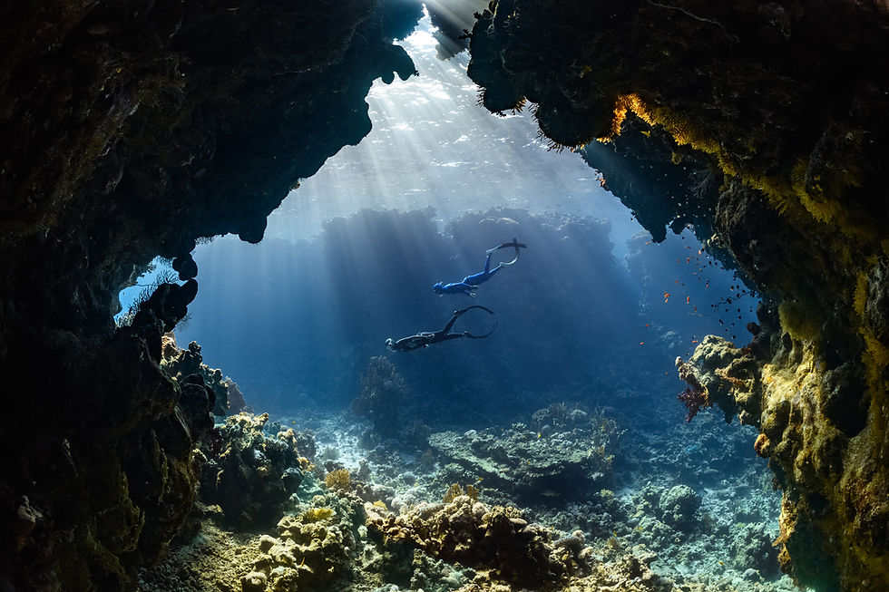 Travel Agents Provide Amazing Experiences