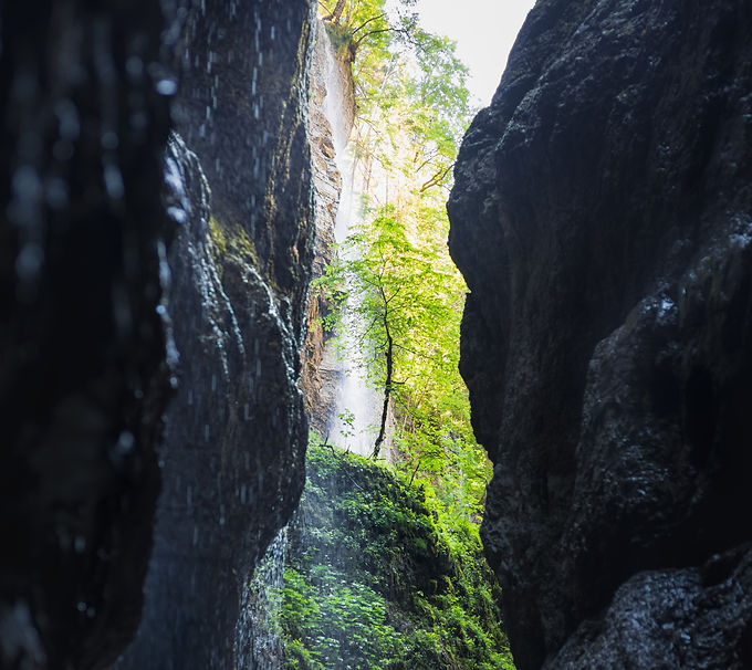 Image by Daniel Seßler