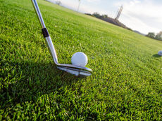 Young to claim the Cognizant and Van Tonder to triumph in South Africa. Golf Betting Preview