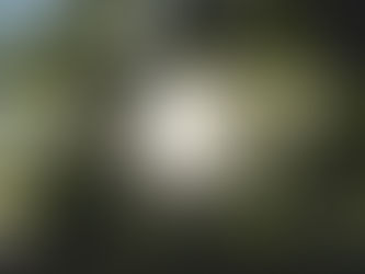 Beyond Busy: Making 2026 a Year of Real Impact