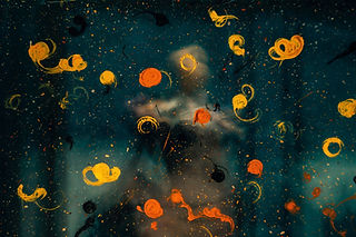 Image by Jr Korpa