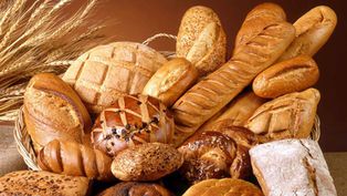 Family Devotion: Daily Bread Living