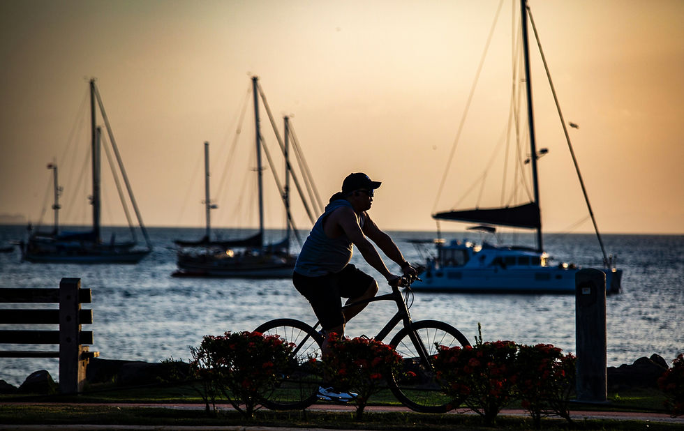 Silhouetted cyclist rides by a calm harbor at sunset, with sailboats anchored on the golden water.