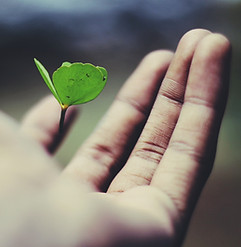 Image by Ravi Roshan