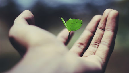 Six steps to sustainable growth
