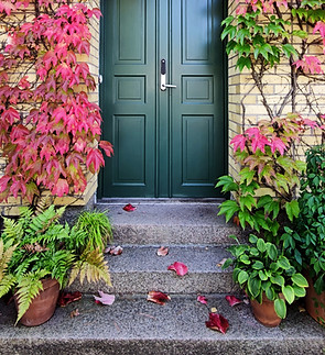 Image by Nazrin Babashova