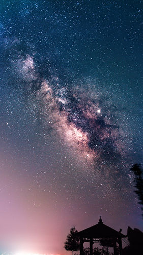 Image by Federico Beccari