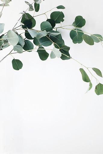 Image by Jazmin Quaynor