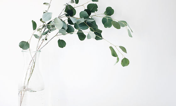 Image by Jazmin Quaynor