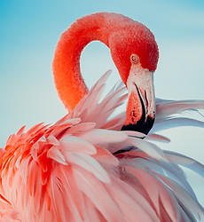 Image by Edrick Krozendijk