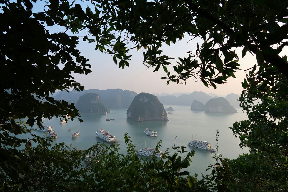 Image by raquel bolas